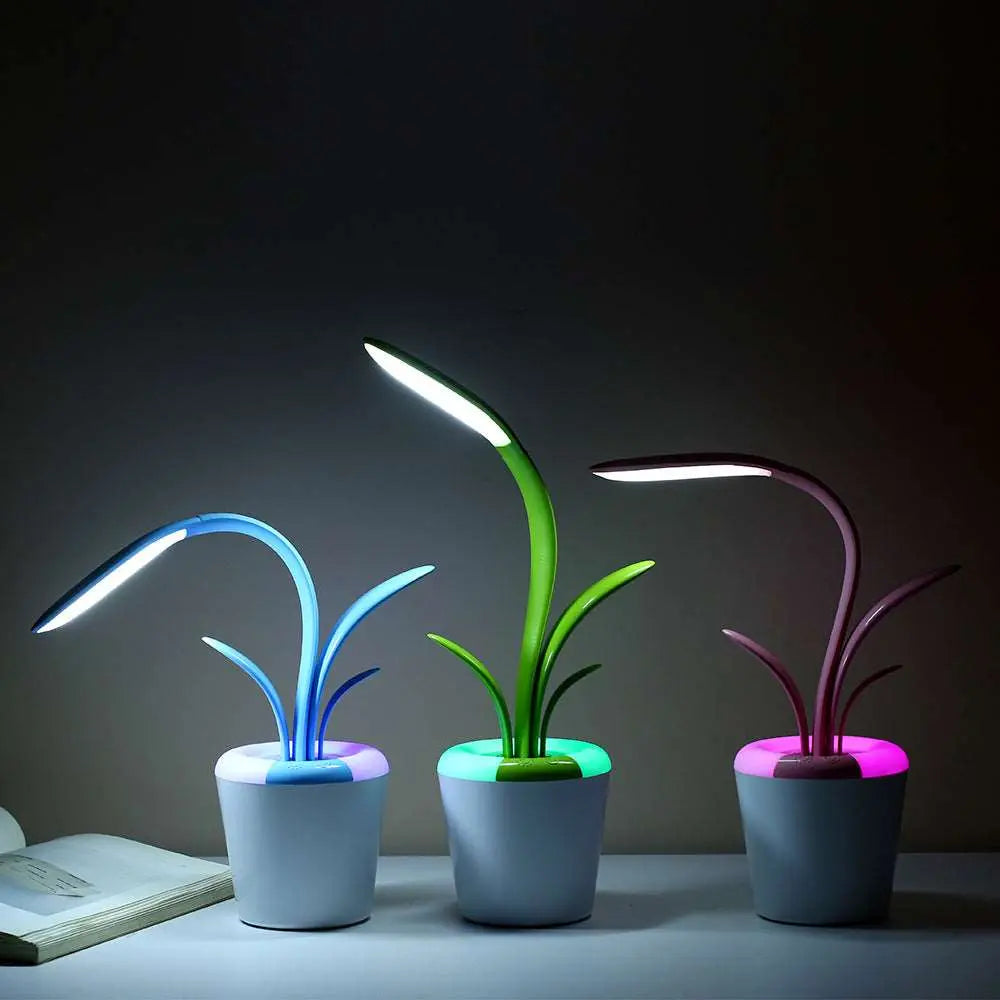 LED Table Lamp