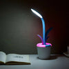 LED Table Lamp