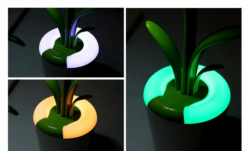 LED Table Lamp